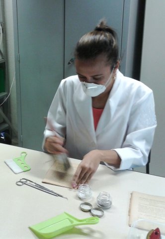 Stéphanie Magdalena, estagiária no Laboratório de Conservação do CAHL